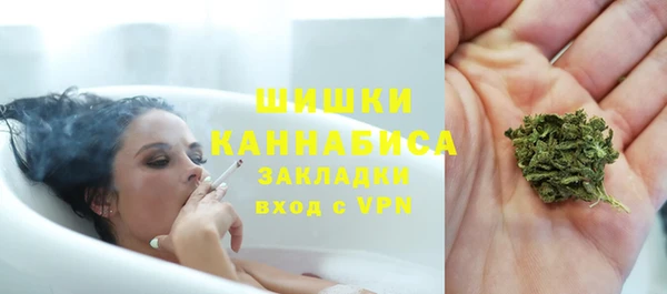 винт Белокуриха
