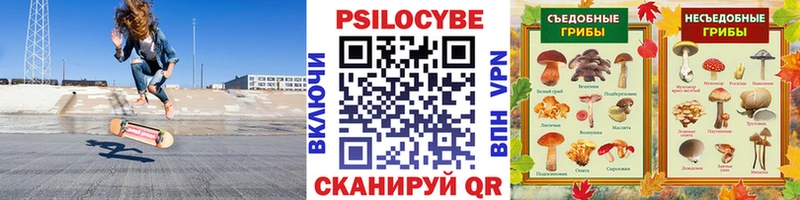 Псилоцибиновые грибы GOLDEN TEACHER  Бородино 